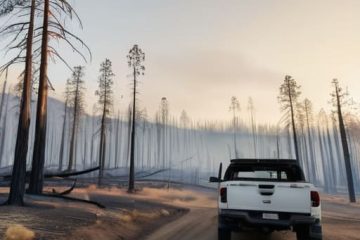 How fire claims are managed after fire.